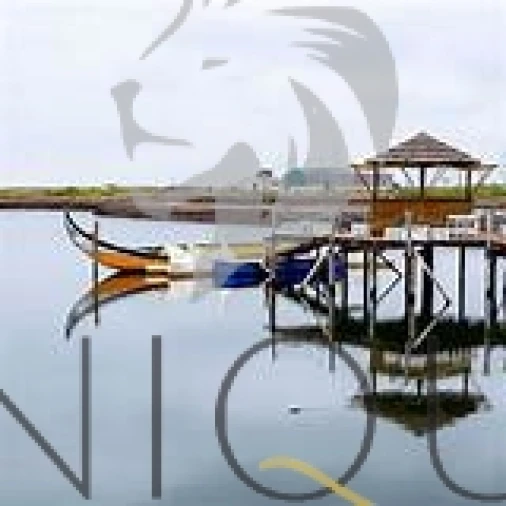 Apartamento T3 para Venda em Glória e Vera Cruz Foto 9