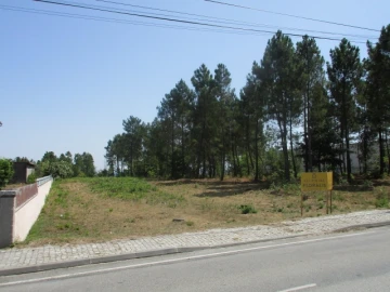 Terreno para Venda em Cavernães