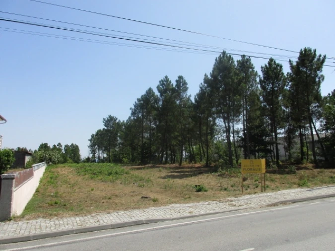 Terreno para Venda em Cavernães Foto 5