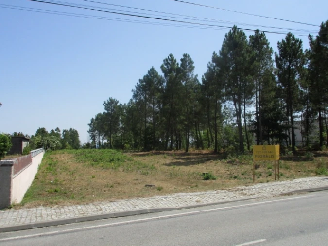 Terreno para Venda em Cavernães Foto 2