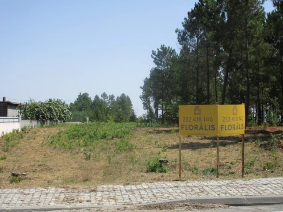 Terreno para Venda em Cavernães Foto 1