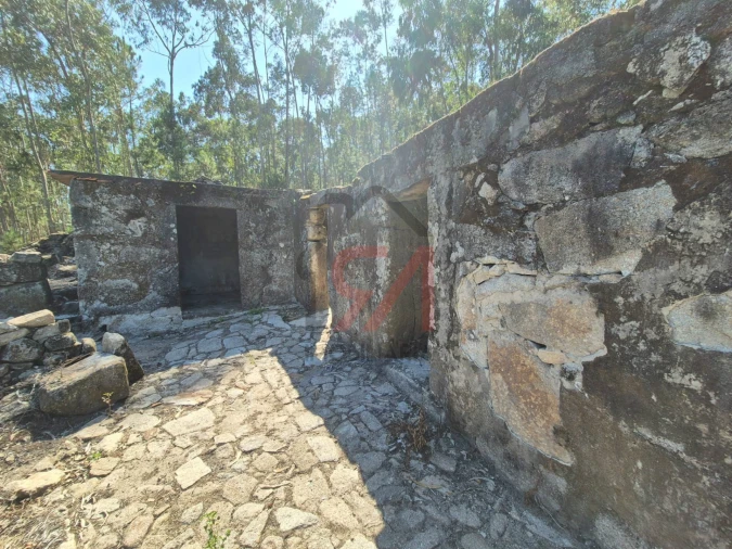 Moradia T0 para Venda em Sanfins Lamoso Codessos Foto 3