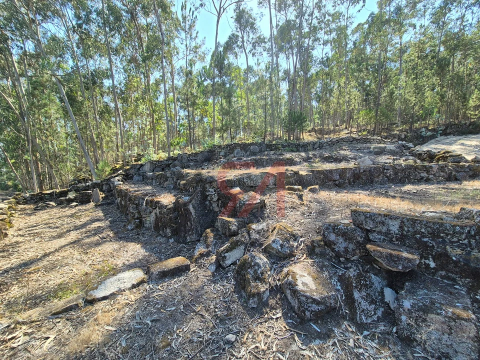 Moradia T0 para Venda em Sanfins Lamoso Codessos Foto 7