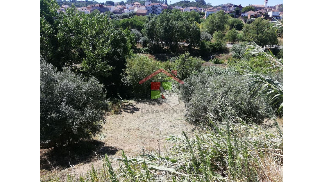 Terreno para Venda em Amiais de Baixo Foto 2