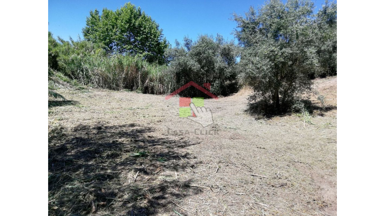 Terreno para Venda em Amiais de Baixo Foto 7