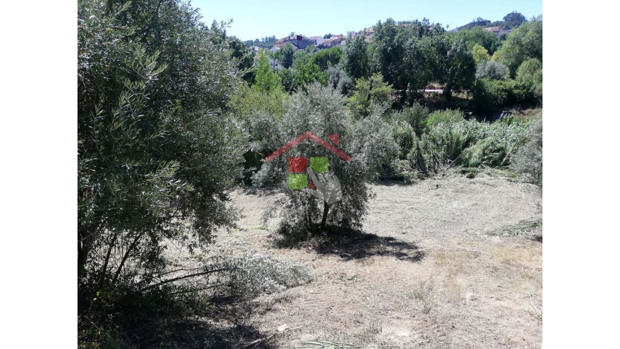 Terreno para Venda em Amiais de Baixo Foto 4