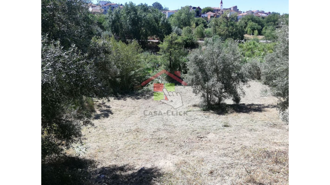 Terreno para Venda em Amiais de Baixo Foto 10