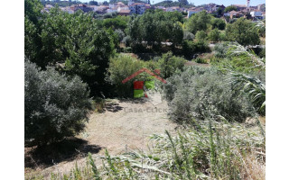 Terreno para Venda em Amiais de Baixo