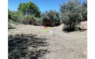 Terreno para Venda em Amiais de Baixo