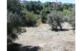 Terreno para Venda em Amiais de Baixo