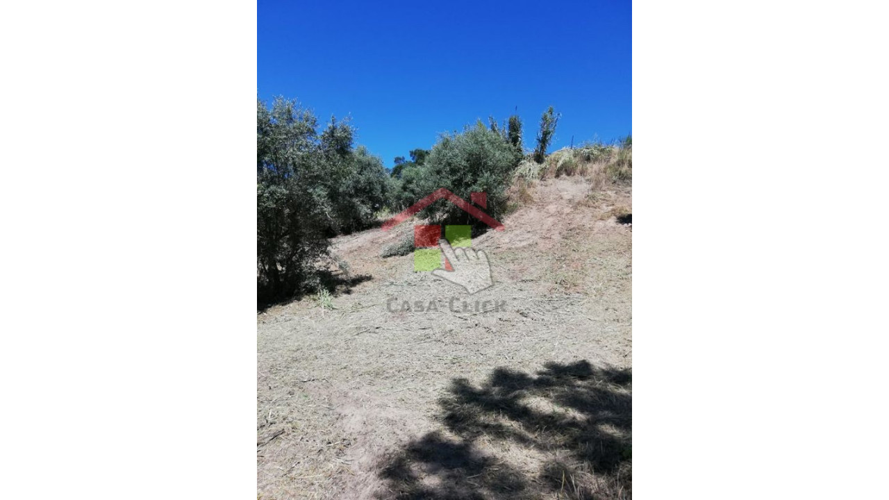 Terreno para Venda em Amiais de Baixo Foto 8