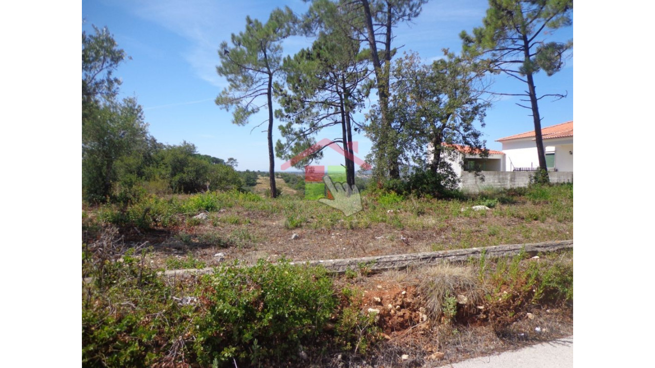 Terreno Agricola ou Rústico para Venda em Chancelaria Foto 5