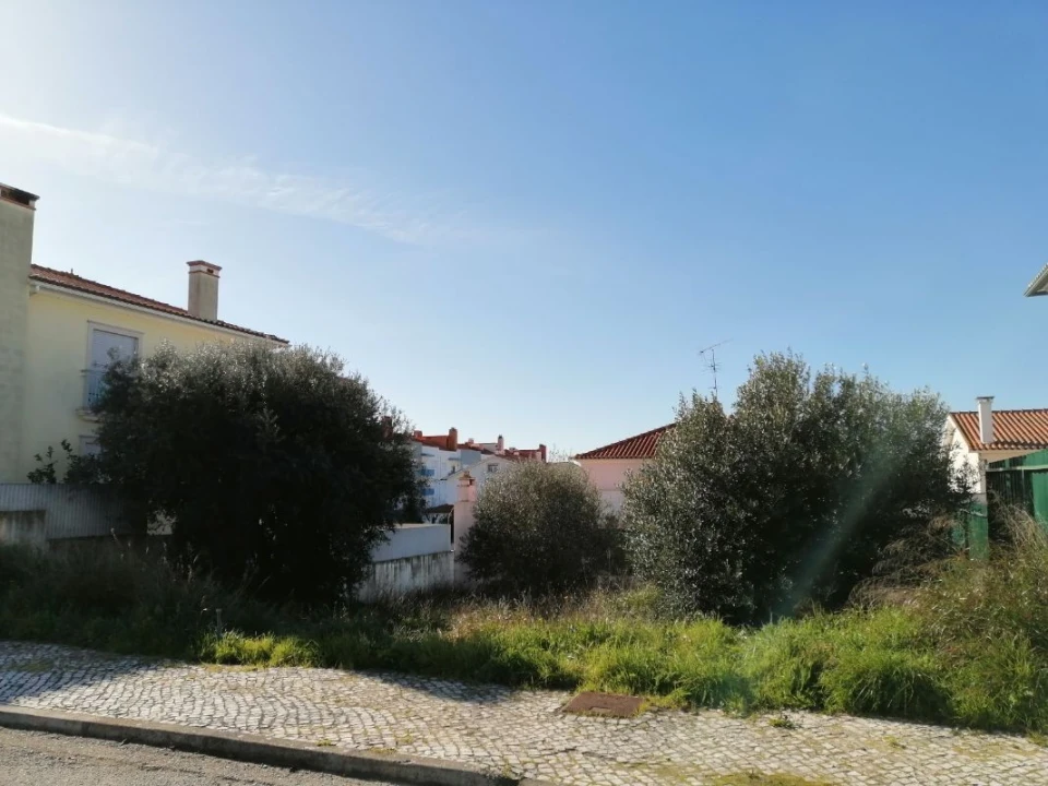 Terreno para Venda em Torres Novas (São Pedro), Lapas e Ribeira Branca Foto 1