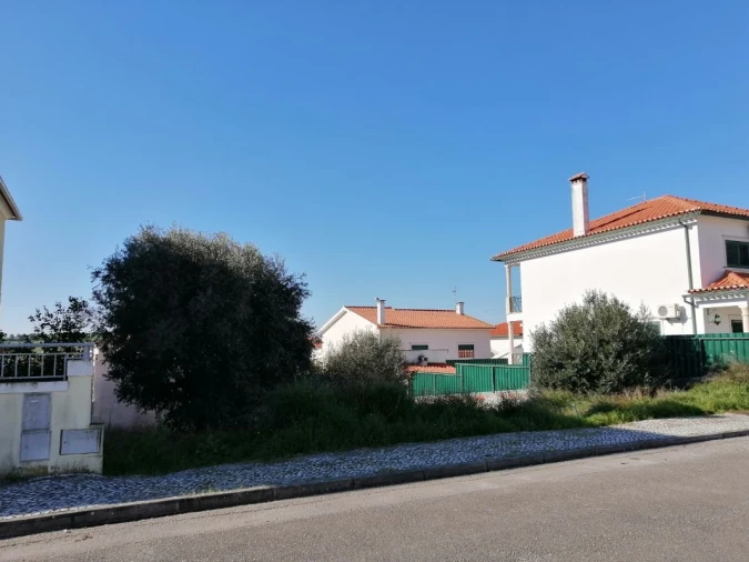 Terreno para Venda em Torres Novas (São Pedro), Lapas e Ribeira Branca Foto 2