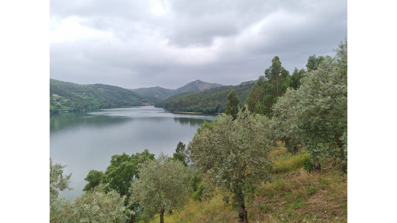 Terreno para Venda em Aguas Belas Foto 2