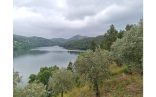 Terreno para Venda em Aguas Belas