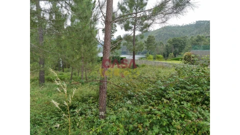Terreno para Venda em Aguas Belas