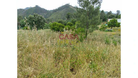 Terreno para Venda em Aguas Belas