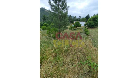 Terreno para Venda em Aguas Belas