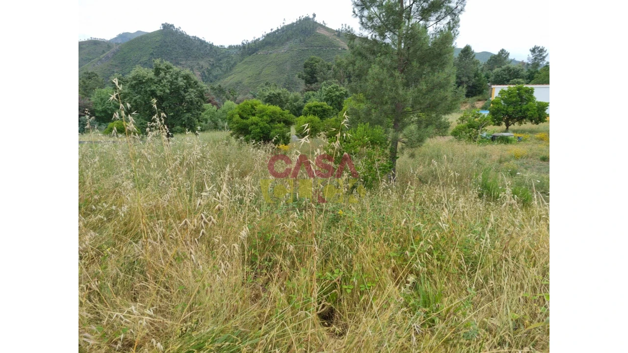 Terreno para Venda em Aguas Belas Foto 11
