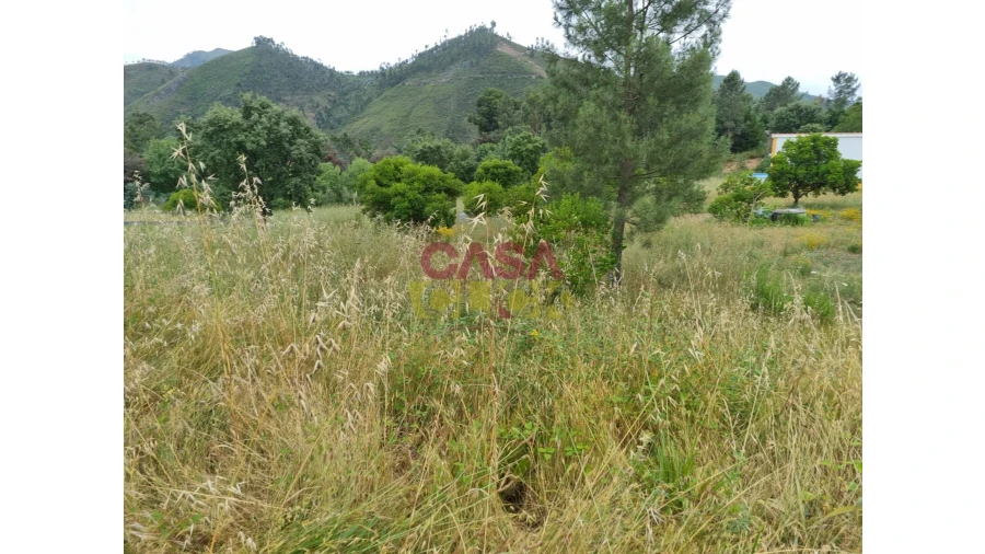 Terreno para Venda em Aguas Belas Foto 11