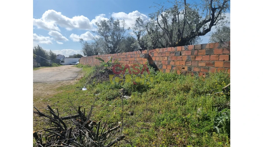 Terreno para Venda em Riachos Foto 2