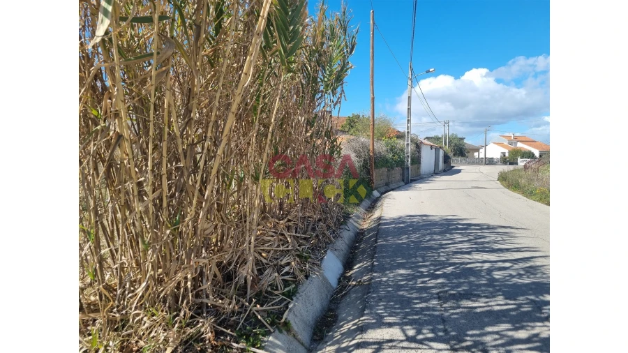 Terreno para Venda em Riachos Foto 6