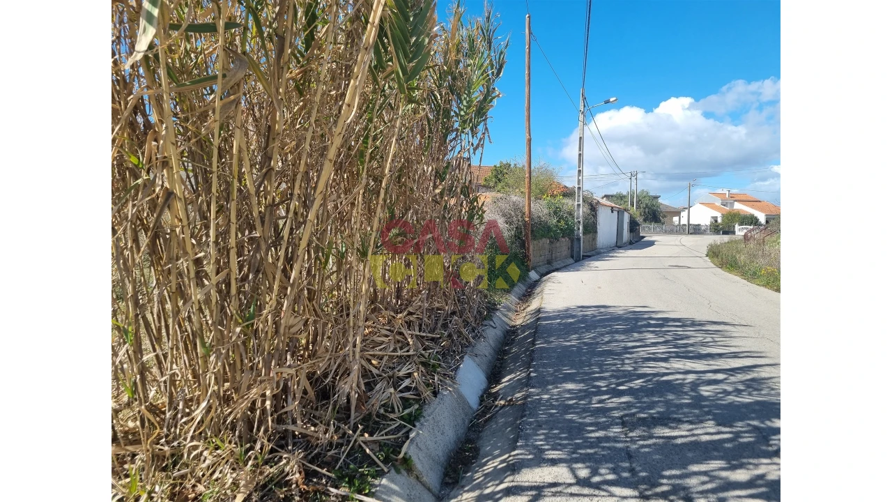Terreno para Venda em Riachos Foto 6