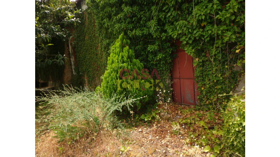 Moradia T6 para Venda em Santa Margarida da Coutada Foto 46