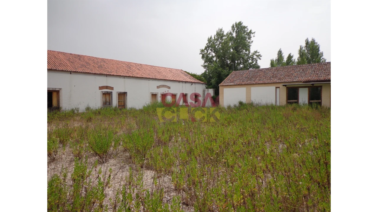 Moradia T6 para Venda em Santa Margarida da Coutada Foto 5