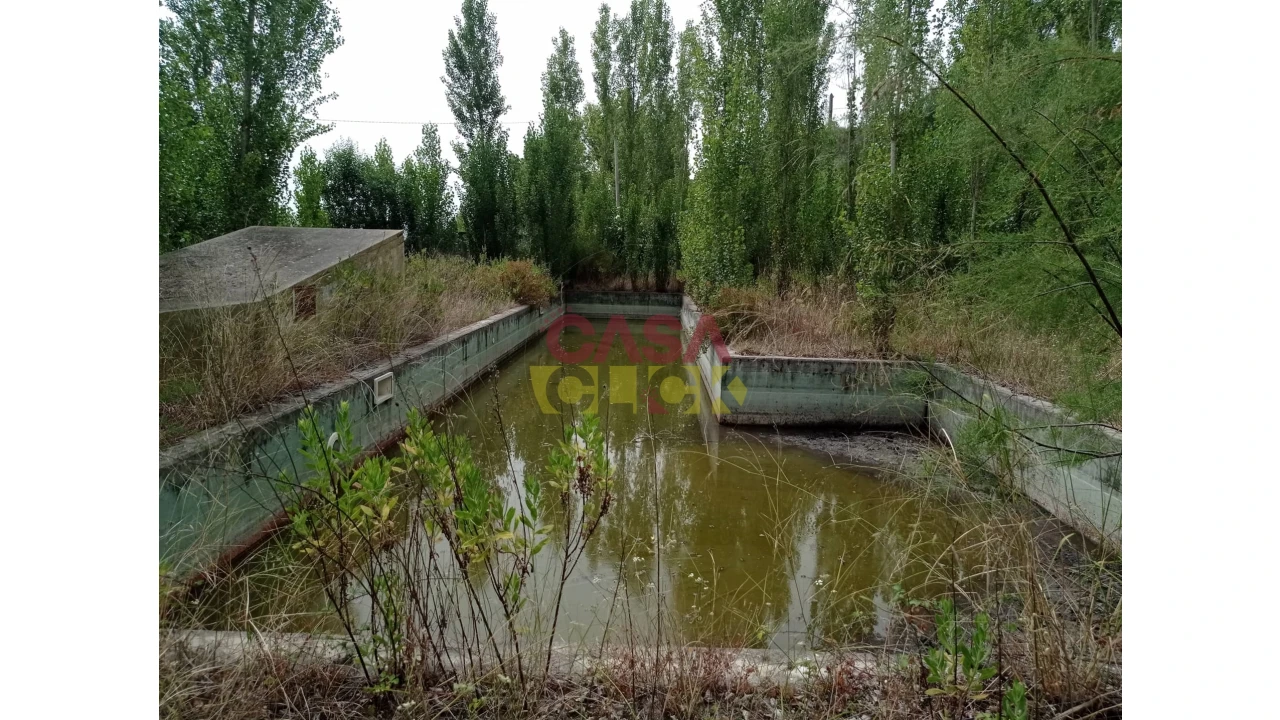 Moradia T6 para Venda em Santa Margarida da Coutada Foto 6