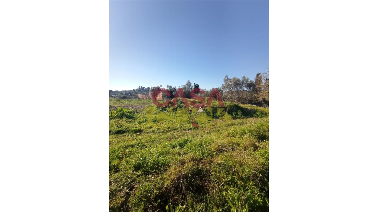 Terreno para Venda em Torres Novas (Santa Maria, Salvador e Santiago) Foto 6