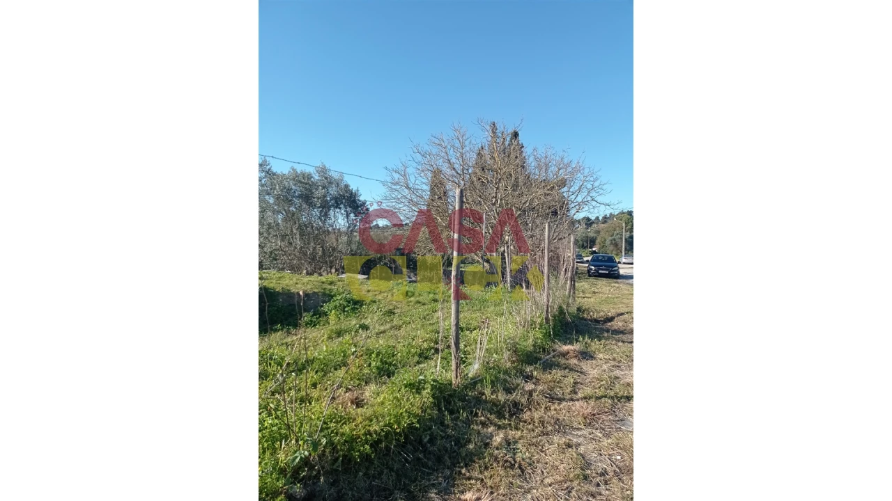Terreno para Venda em Torres Novas (Santa Maria, Salvador e Santiago) Foto 2