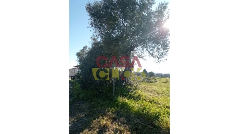 Terreno para Venda em Torres Novas (Santa Maria, Salvador e Santiago)