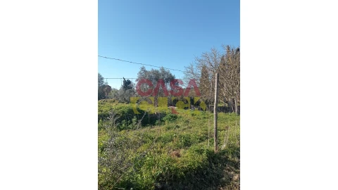 Terreno para Venda em Torres Novas (Santa Maria, Salvador e Santiago)