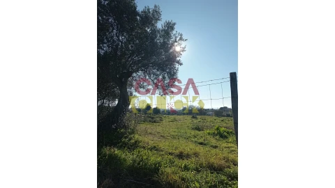 Terreno para Venda em Torres Novas (Santa Maria, Salvador e Santiago)