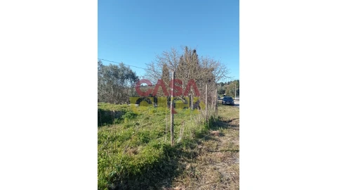 Terreno para Venda em Torres Novas (Santa Maria, Salvador e Santiago)