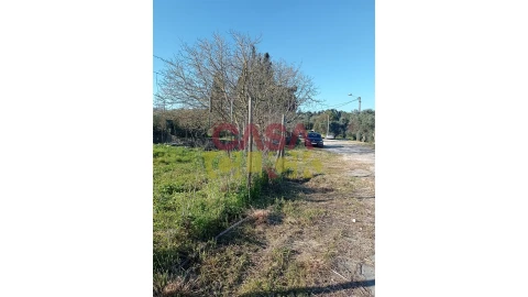 Terreno para Venda em Torres Novas (Santa Maria, Salvador e Santiago)
