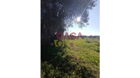 Terreno para Venda em Torres Novas (Santa Maria, Salvador e Santiago)