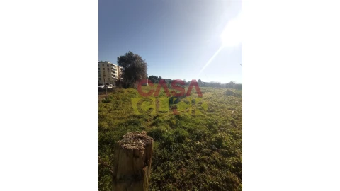 Terreno para Venda em Torres Novas (Santa Maria, Salvador e Santiago)