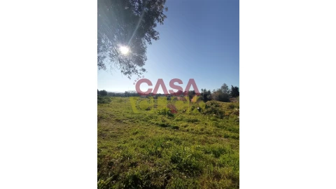 Terreno para Venda em Torres Novas (Santa Maria, Salvador e Santiago)