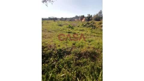 Terreno para Venda em Torres Novas (Santa Maria, Salvador e Santiago)