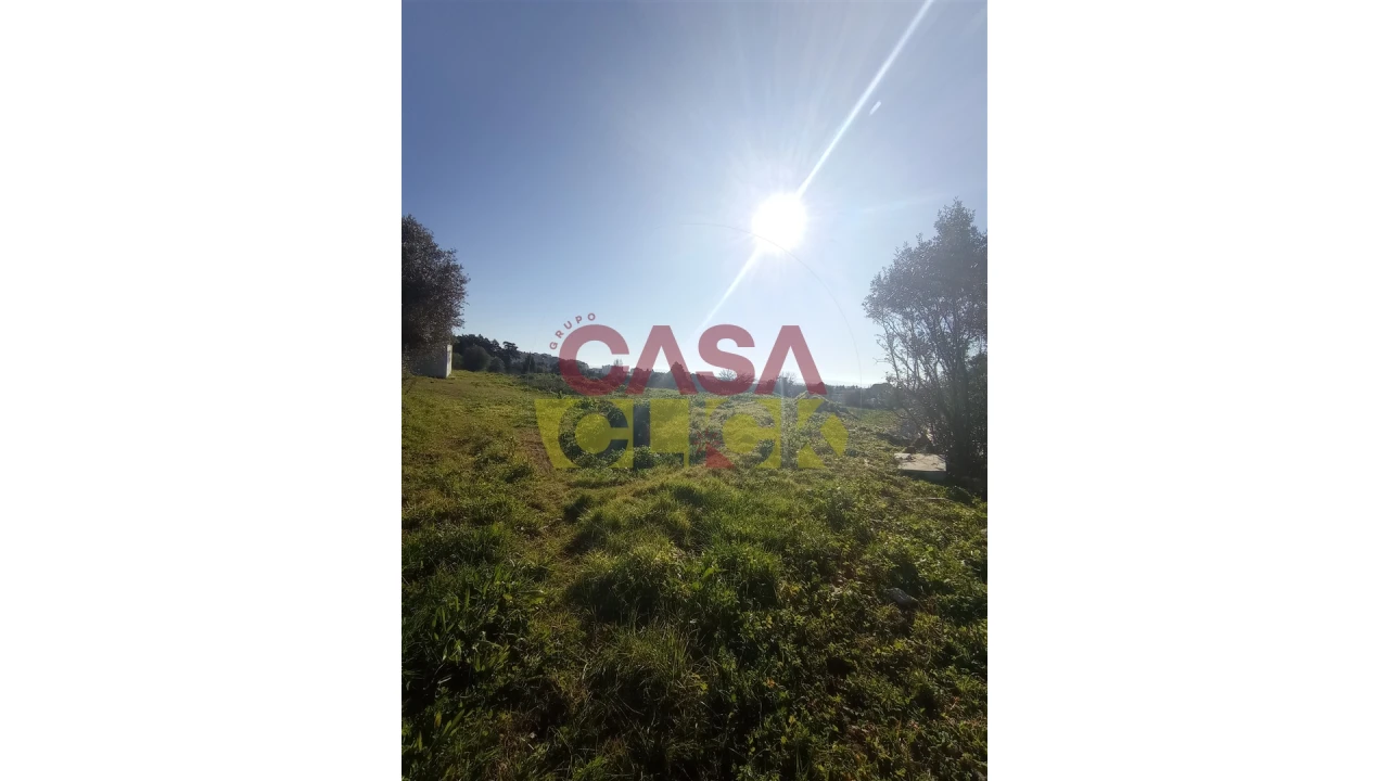 Terreno para Venda em Torres Novas (Santa Maria, Salvador e Santiago) Foto 1