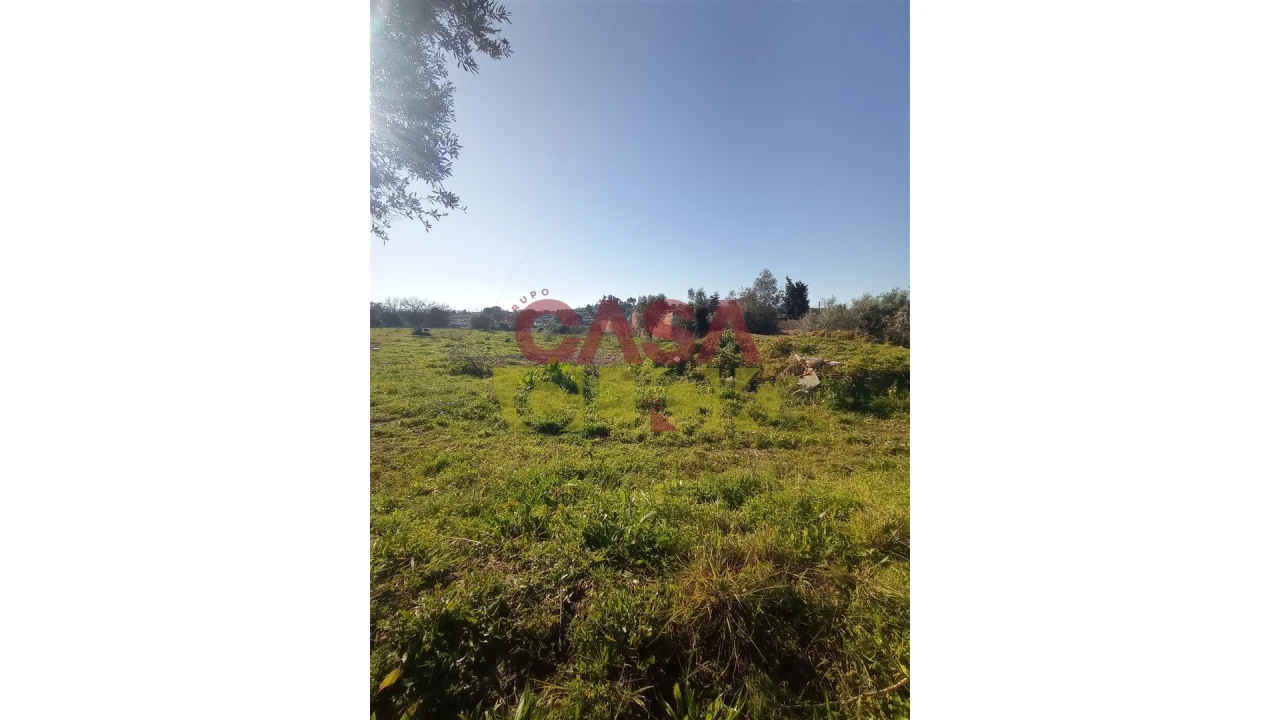 Terreno para Venda em Torres Novas (Santa Maria, Salvador e Santiago) Foto 3