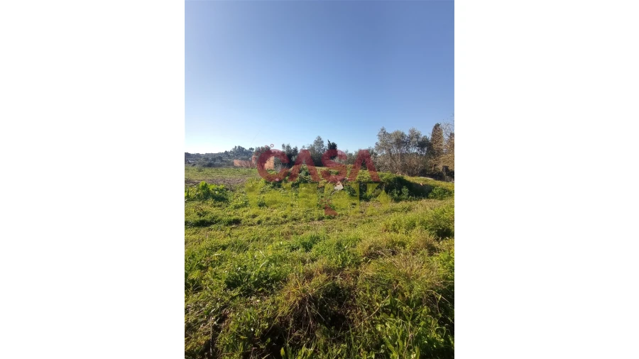Terreno para Venda em Torres Novas (Santa Maria, Salvador e Santiago) Foto 6