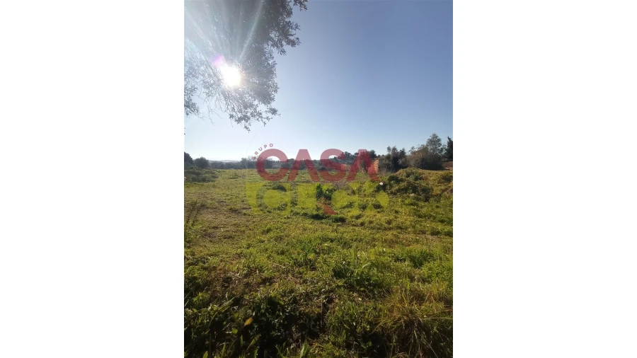 Terreno para Venda em Torres Novas (Santa Maria, Salvador e Santiago) Foto 5