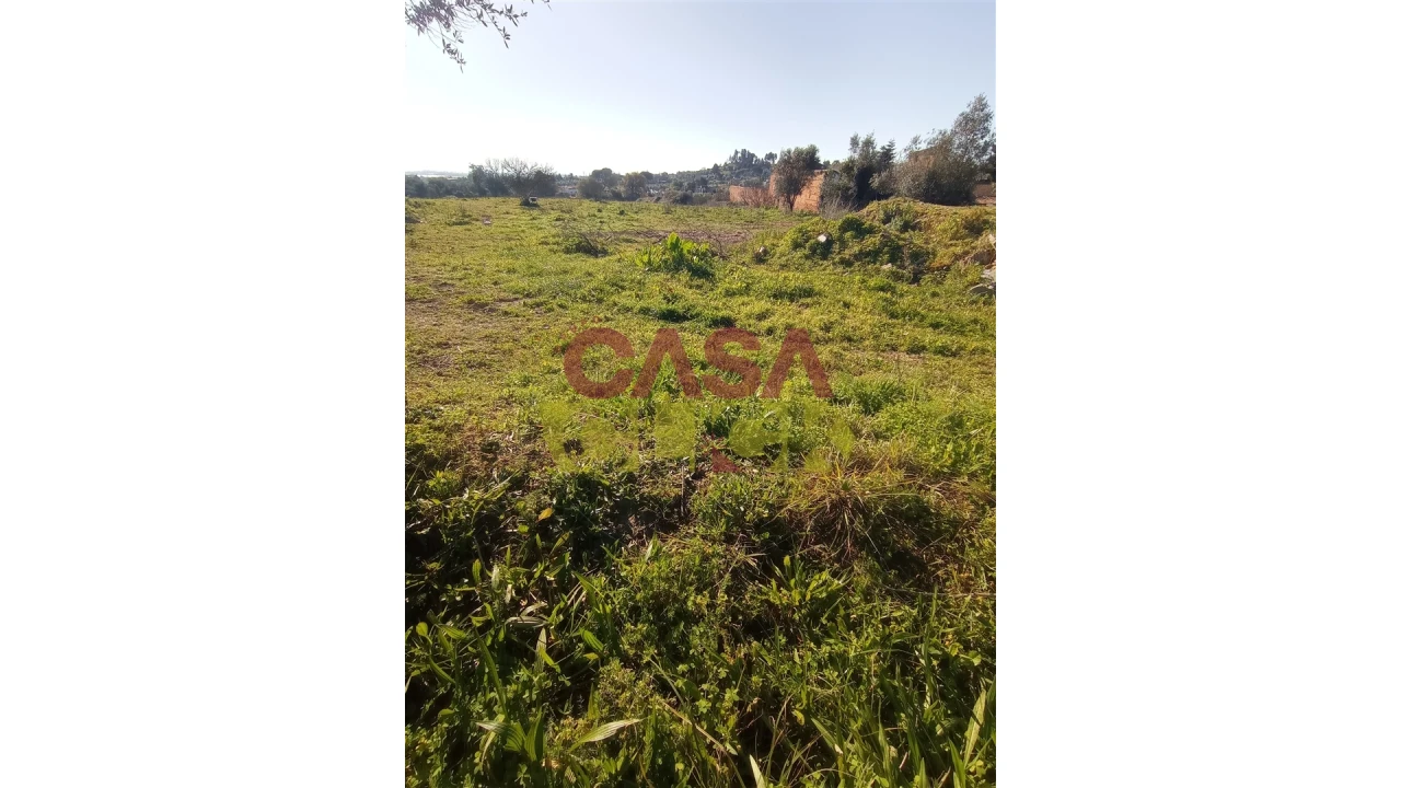 Terreno para Venda em Torres Novas (Santa Maria, Salvador e Santiago) Foto 7