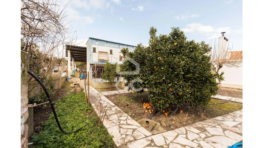 Terreno para Venda em Mora Foto 21