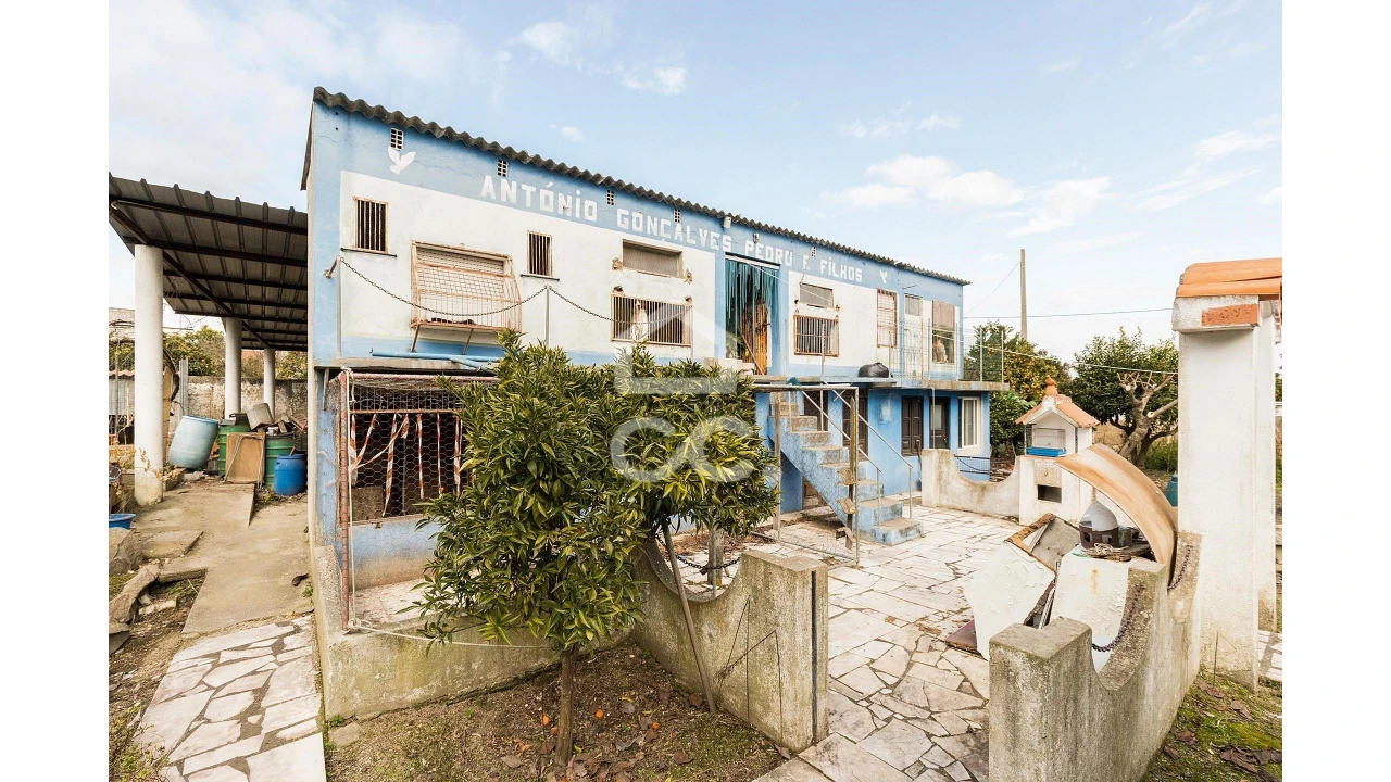 Terreno para Venda em Mora Foto 22