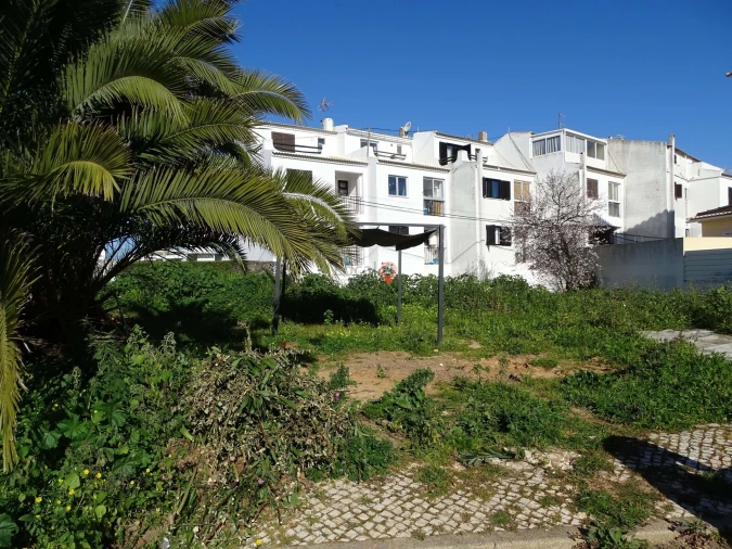 Terreno para Venda em Lagos (São Sebastião e Santa Maria) Foto 3
